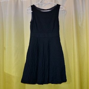 J.Crew Navy Blue Dress